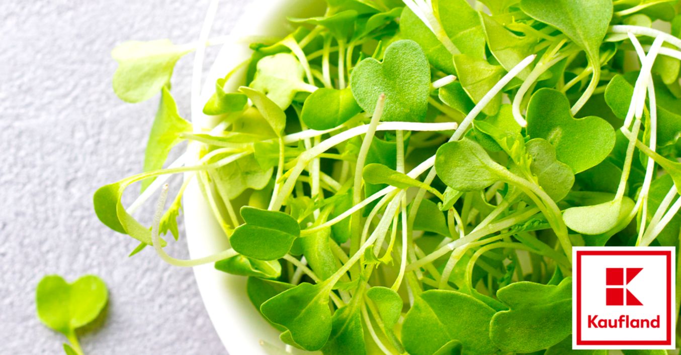 Brunnenkresse Kaufen: Guide to Buying, Growing, and Uses